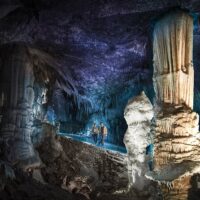 Half-day Tours