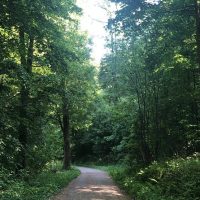 Sustainable Tours