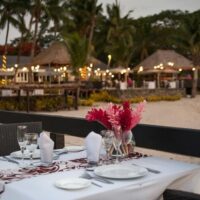Food, Wine & Nightlife