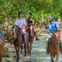 Horseback Riding