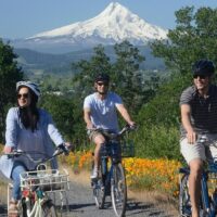 Multi-day & Extended Tours