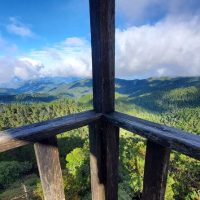 Holiday & Seasonal Tours