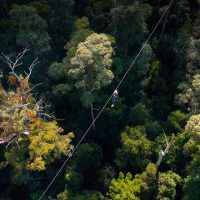 Ziplines