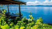 Hidden Gem Among Pelješac Vineyards