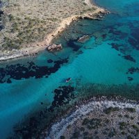 Private & Custom Tours