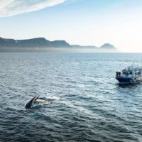 Luxury Tours