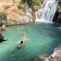 Half-day Tours