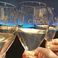 Food, Wine & Nightlife