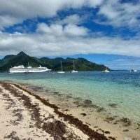 Walking Tours
