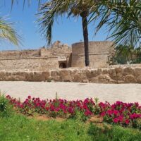 Sightseeing Tickets & Passes
