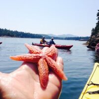 Sustainable Tours