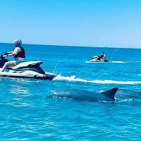 Boat Tours