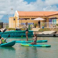 Stand Up Paddleboarding