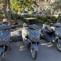 Vehicle Rentals