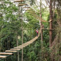 Obstacle Courses