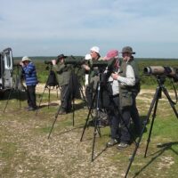 Multi-day & Extended Tours