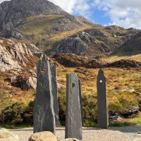 Shore Excursions