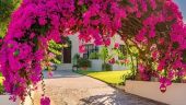 A Smooth and Memorable Shore Excursion