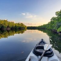 Kayaking & Canoeing