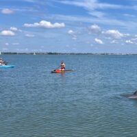 Boat Rentals