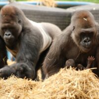 Outdoor Activities