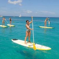 Self-guided Tours & Rentals