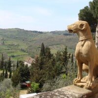 Private & Custom Tours
