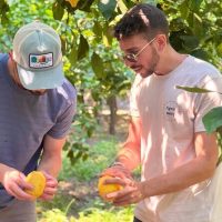 Plantation Tours