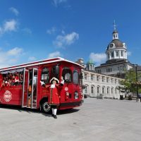 Luxury Tours