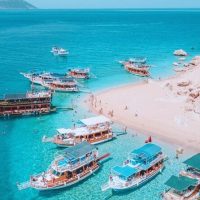 Bus & Minivan Tours