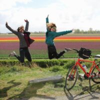 Holiday & Seasonal Tours