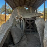 Full-day Tours