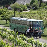 Half-day Tours