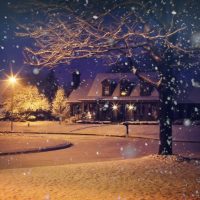Holiday & Seasonal Tours