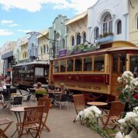 Tours & Sightseeing