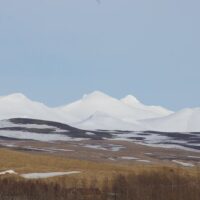Volunteer Tours