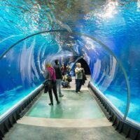 Zoo Tickets & Passes