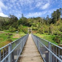Archaeology Tours