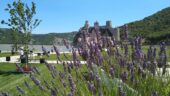 All the cool things at Danube