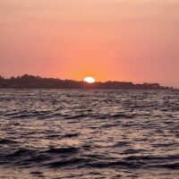 Sailing Trips