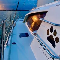 Weddings & Honeymoons