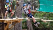 Fantastic Treetops Experience