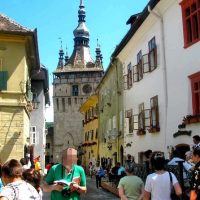 Private & Custom Tours