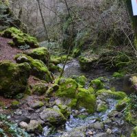 Photography Tours
