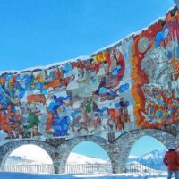 Volunteer Tours