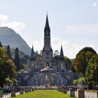 Bus & Minivan Tours