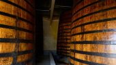 Very interesting and clear guided tour with an extraordinary guide followed by an exciting tasting.
