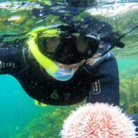 Snorkeling