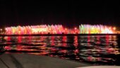 Amazing!