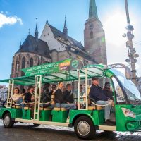 Bus & Minivan Tours